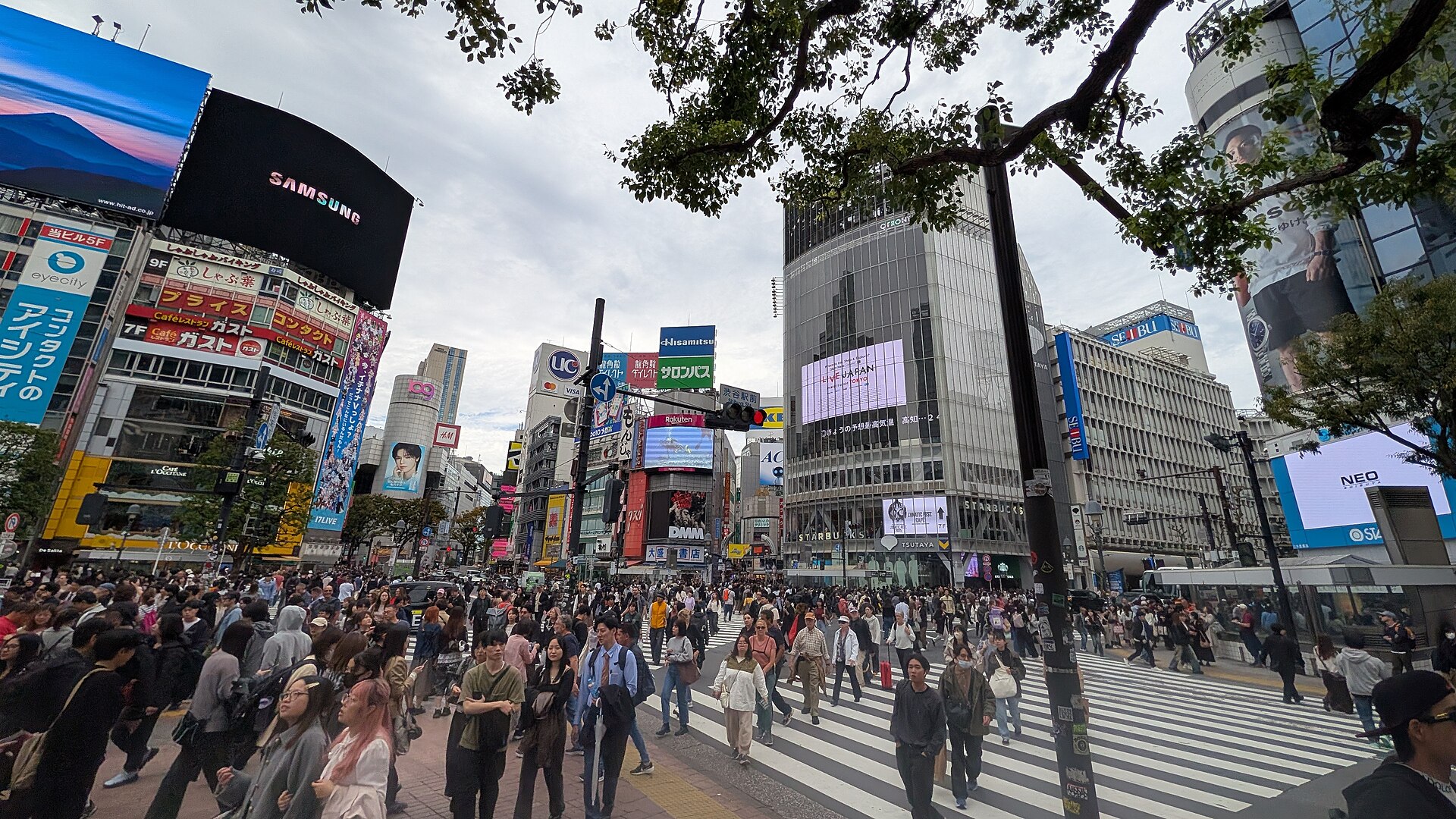 Shibuya crossing Tokyo